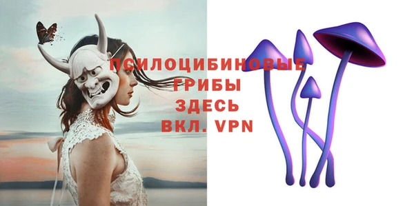 трава Арсеньев