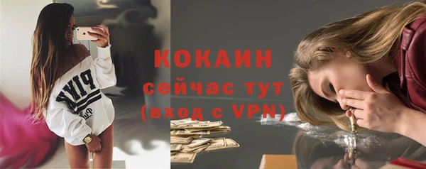 крисы Армянск