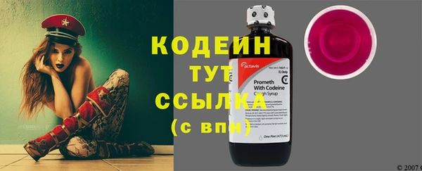 крисы Армянск