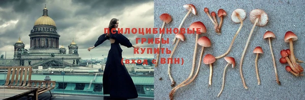 спайс Балабаново